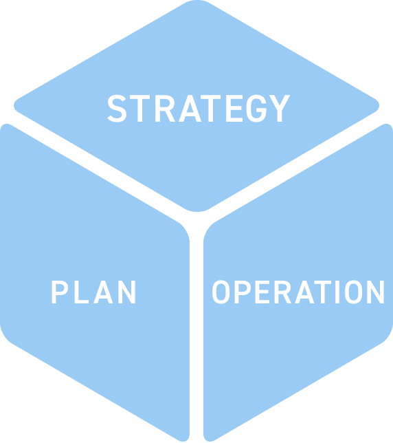 STRATEGY PLAN OPERATION